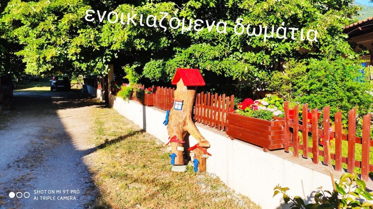 Βίλα Κατερίνα - Villa Katerina Kokkino Nero Bagian luar foto