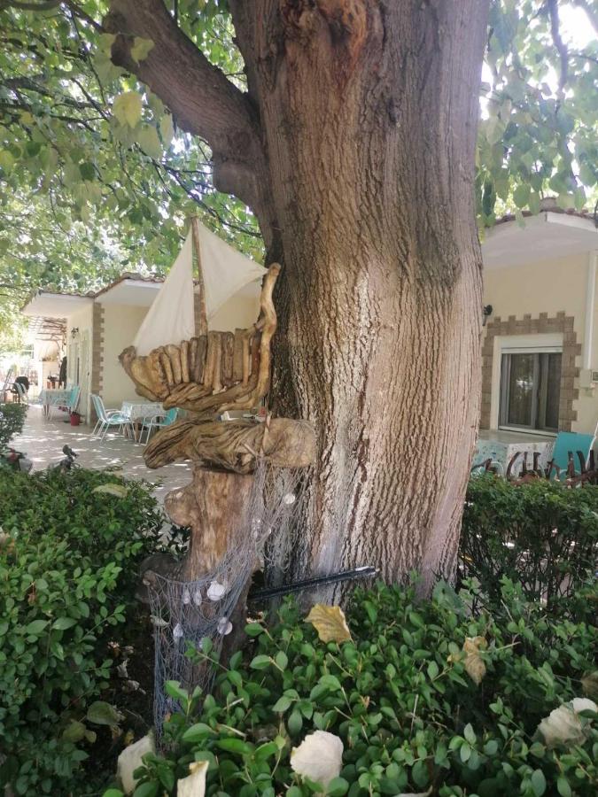 Βίλα Κατερίνα - Villa Katerina Kokkino Nero Bagian luar foto